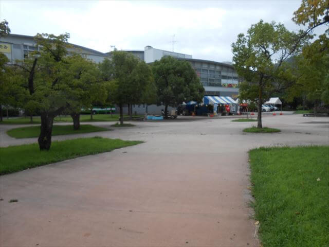 マリンスパ熱海の前の緑の広場