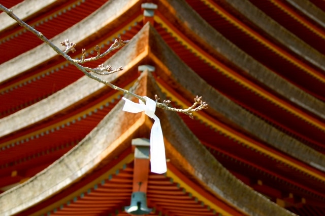 談山神社の初詣